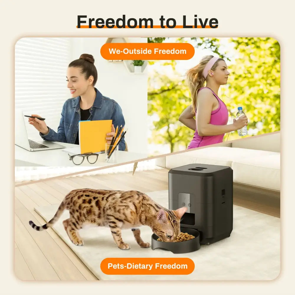 DSPet Feeder™ - Accessoires pour animaux